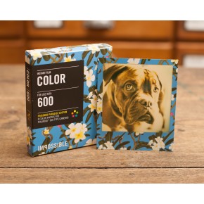 Цветная кассета 600 "Франжипани"