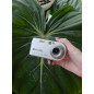 Sony Cyber-shot DSC-P200 (silver) мыльница фотоаппарат цифровой