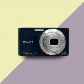 Sony Cyber-shot DSC-W610 (black)
