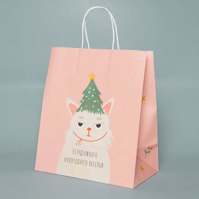 Подарочный бумажный пакет