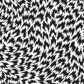 B&W FILM FOR 600 ELEY KISHIMOTO EDITION