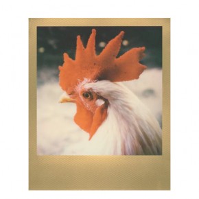 Кассета Polaroid 600 GOLD frame