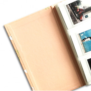 Альбом Instax Mini "Лебеди"
