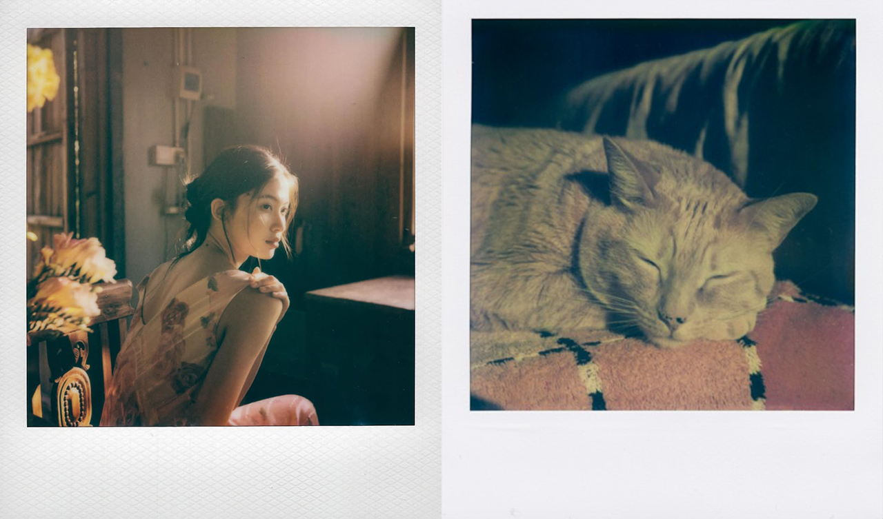 polaroid SX-70 и картриджи