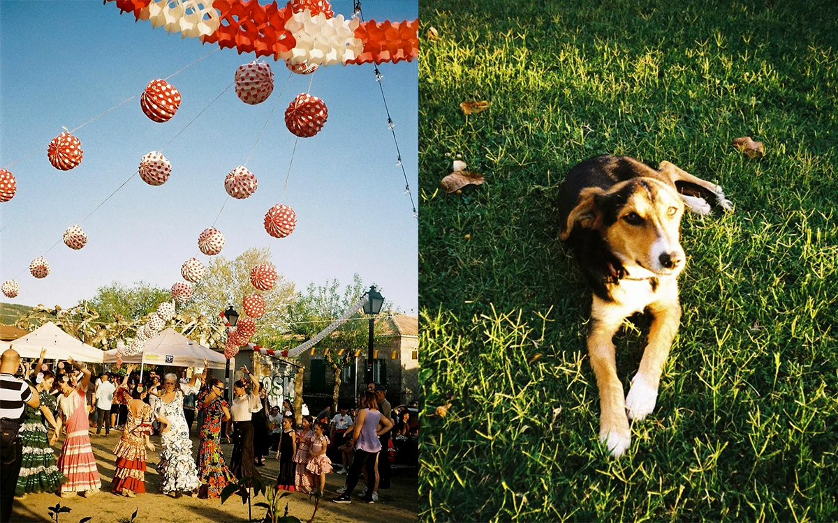 Canon Prima Junior DX пример снимка