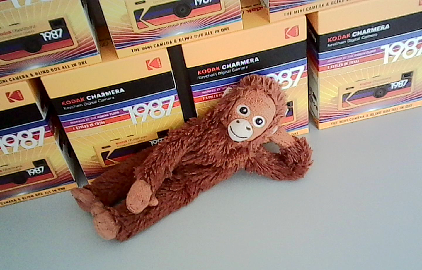 Kodak Charmera  пример снимка