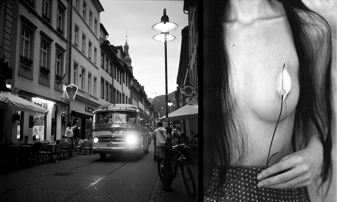 Shanghai GP3 400/36 пример фотоснимка